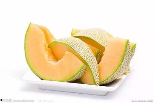 墩子吃哈密瓜,一场甜蜜的邂逅