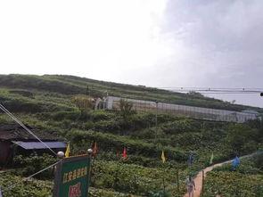 浙江爬山吃瓜事件,意外走红背后的社会现象探讨