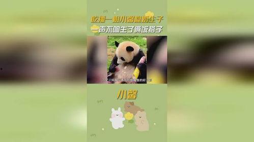 馨姐吃瓜,揭秘娱乐圈幕后故事