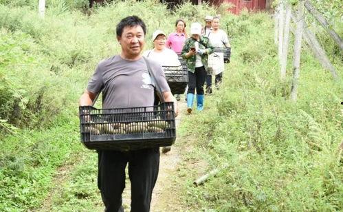 桐梓吃瓜事件,一场网络狂欢背后的真相与反思