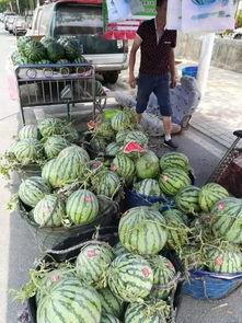 惠州龙门吃瓜事件,一场引发热议的街头冲突纪实