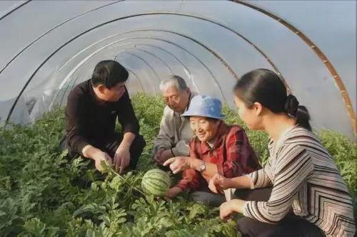 老奶奶全中国吃瓜,见证时代变迁的民间视角
