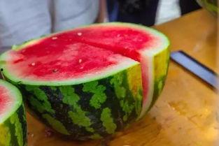 当学生们吃瓜,揭秘学生们的八卦乐园