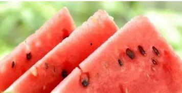 病人做梦吃瓜,揭秘病人潜意识中的渴望与疗愈