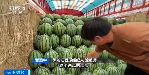 高句丽吃瓜,瓜果飘香的历史画卷